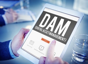 46820131 - dam digital asset management organization concept